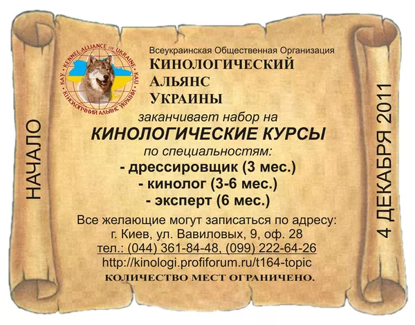 Курсы кинологов,  дрессировщиков,  экспертов.