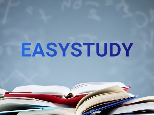 Заказать эссе в EasyStudy