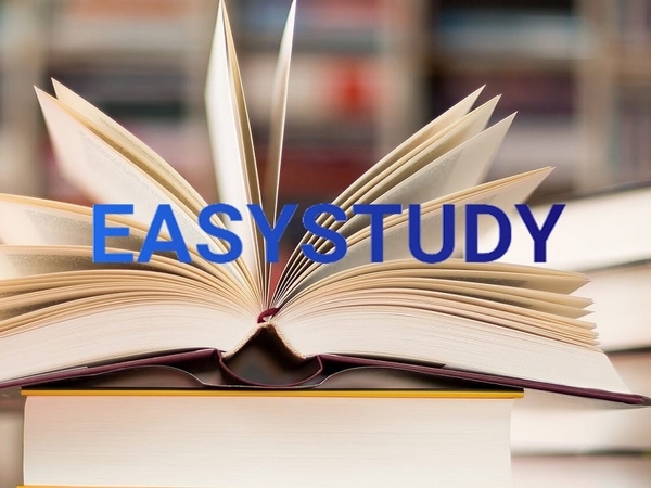 Заказать тезисы в EasyStudy